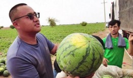 天俊吃瓜后续