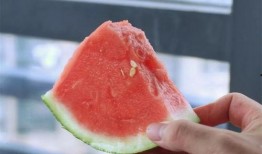 合肥赛博吃瓜,一场吃瓜群众的狂欢盛宴