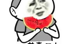 一个单眼皮的纯吃瓜群众,单眼皮吃瓜群众眼中的世界百态