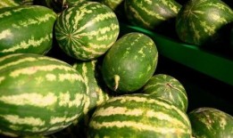 陇南的吃瓜事件,一场引发社会关注的网络风波