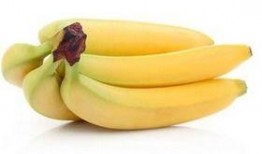 肾病综合征能否吃哈密瓜,哈密瓜的食用指南