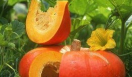 过年吃瓜系统,揭秘过年吃瓜系统背后的趣味与智慧