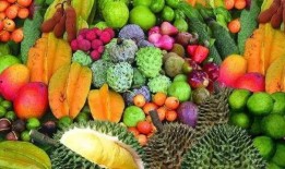 海南吃瓜法队,解锁热带风情美食之旅