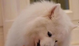 被吃瓜很难受,揭秘网络舆论的隐形伤害