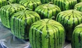 吃瓜不怕多,揭秘娱乐圈那些事儿