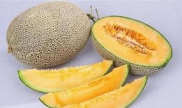 哈密瓜什么时间吃,哈密瓜的最佳食用时机揭秘