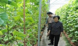 吃瓜爆料双顶流,揭秘双顶流背后的惊人内幕