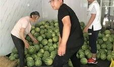 常州事件吃瓜视频,网络热议背后的真相与反思