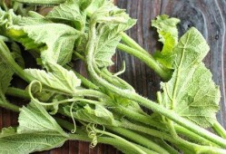 吃瓜尖过敏,常见症状与预防措施