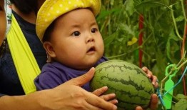 有无吃瓜群,揭秘吃瓜群与不吃瓜群的差异