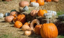 安丰吃瓜,揭秘娱乐圈背后的那些事儿