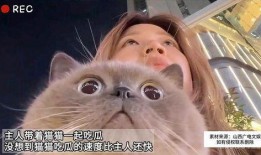 猫猫吃瓜个人账号,揭秘娱乐圈那些不为人知的幕后故事