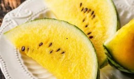 黄料吃瓜免费,免费畅享夏日清凉盛宴