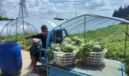 吃瓜线下体验,带你走进线下娱乐新天地