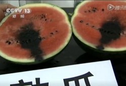 吃瓜视频解密工具,解锁热门视频背后的秘密