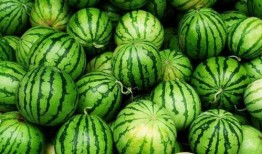 吃瓜vs下饭,揭秘美食背后的文化内涵