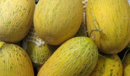 自己怎么吃哈密瓜,我的美味食光之旅