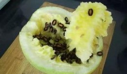 吃炒籽瓜的危害,健康饮食需谨慎