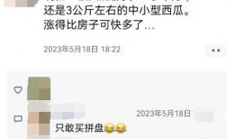 在线吃瓜朋友圈,揭秘网络社交背后的热点风云