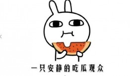 吃瓜群众是啥子意思,网络时代的围观者与传播者