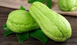 明明吃佛手瓜,探寻健康美味的新选择