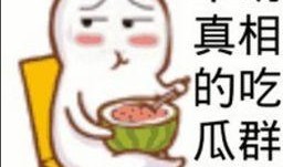 吃瓜撒子意思
