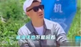 孙红雷在线吃瓜,在线热议娱乐圈风云