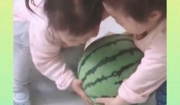 小家伙吃瓜,小家伙的夏日吃瓜盛宴