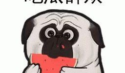 二狗带你吃瓜,二狗带你领略娱乐圈的“瓜田”盛景