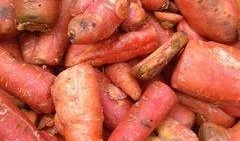 民心佳园吃瓜,邻里瓜语，共享社区温馨时光