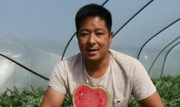 吃瓜得老婆短剧,一部轻松幽默的短剧故事