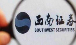 西南证券吃瓜事件,一场意外的舆论风波揭秘
