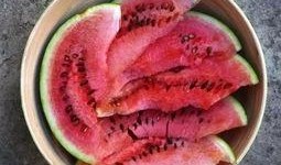 马吃瓜好吗,探寻马儿与瓜果的奇妙互动