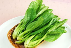 青菜茭瓜能一起吃,营养互补的绿色盛宴