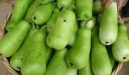 贫血可以吃葫芦瓜吗