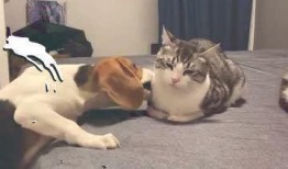 隔壁村吃瓜群众,揭秘邻村那些事儿