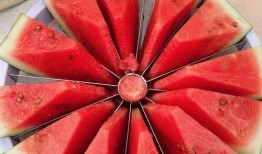 关于吃瓜大赛的口号,吃瓜大赛口号引领全民狂欢