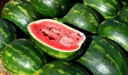楼兰瓜好吃吗怎么吃,解锁最佳食用方式，尽享瓜果盛宴