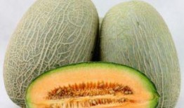 哈密瓜什么时间吃,哈密瓜的最佳食用时机揭秘