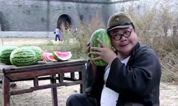 吃瓜降智瞬间第三弹,揭秘网络热议背后的真相与反思