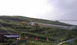 莱州驿道吃瓜事件,一场引发热议的网络奇谈