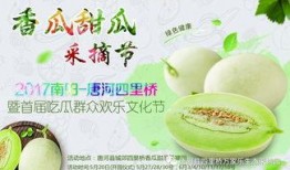 陕西大网红吃瓜,揭秘娱乐圈幕后风云