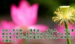 看花和吃瓜朗诵配乐,看花吃瓜的视听盛宴