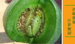 二达子吃瓜,揭秘娱乐圈幕后故事