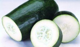 方瓜减肥可以吃吗,健康美味两不误，轻松享瘦新选择