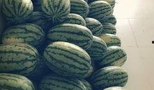 梦到吃西部瓜,西部瓜的奇幻之旅