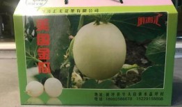 金瓜银瓜怎么吃,探索美味与营养的完美结合