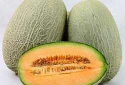经常吃哈密瓜能美容吗,日常食用助你美丽加分