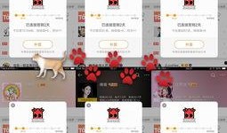 吃瓜打卡社保