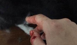 吃瓜日历3结局,结局揭秘，悬念揭晓，谁才是幕后黑手？